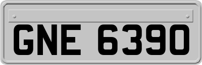 GNE6390