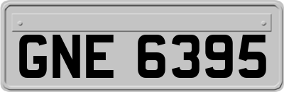 GNE6395