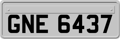 GNE6437