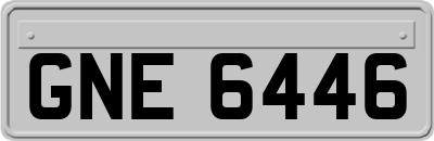GNE6446