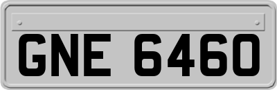 GNE6460