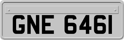 GNE6461