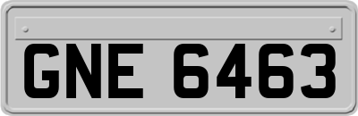 GNE6463