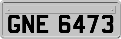 GNE6473