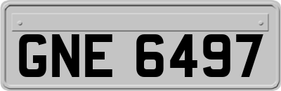 GNE6497
