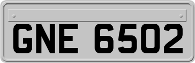 GNE6502