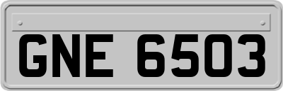 GNE6503