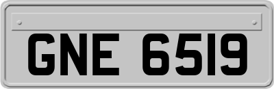 GNE6519