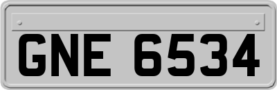 GNE6534