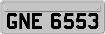 GNE6553