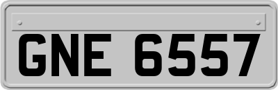 GNE6557
