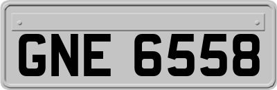 GNE6558