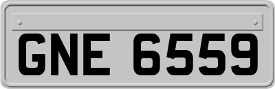 GNE6559