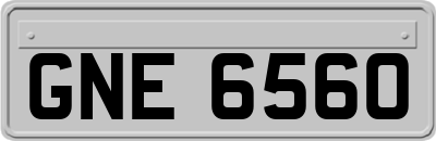 GNE6560