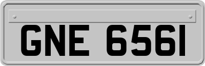 GNE6561