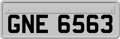 GNE6563