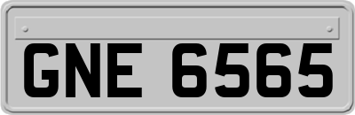 GNE6565
