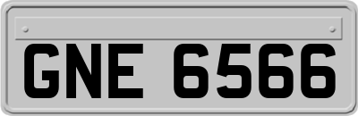 GNE6566