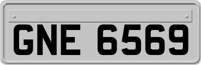 GNE6569