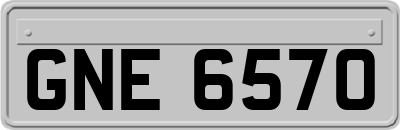 GNE6570