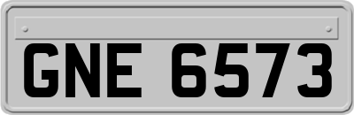 GNE6573
