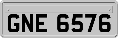 GNE6576