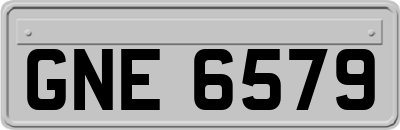 GNE6579
