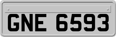 GNE6593