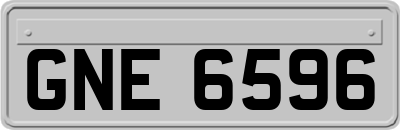 GNE6596