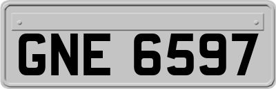 GNE6597