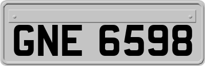 GNE6598