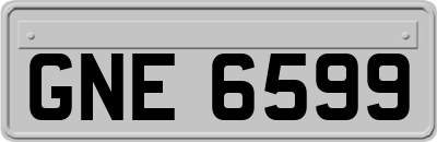 GNE6599