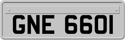 GNE6601