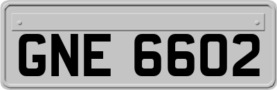 GNE6602