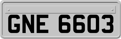 GNE6603