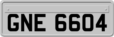 GNE6604
