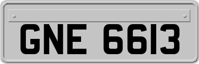 GNE6613