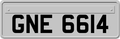 GNE6614
