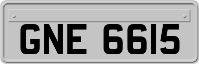 GNE6615