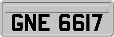 GNE6617