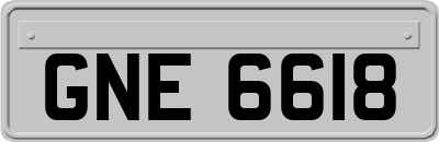 GNE6618