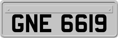 GNE6619