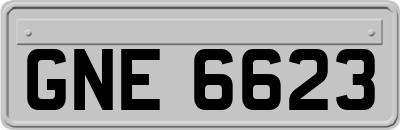 GNE6623