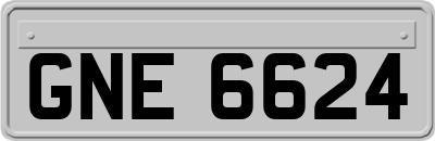 GNE6624
