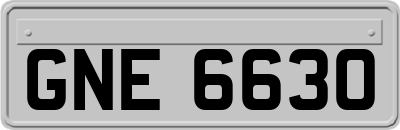 GNE6630