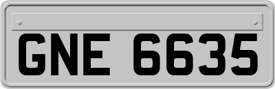 GNE6635