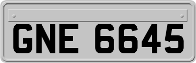 GNE6645