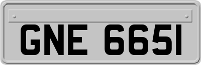 GNE6651