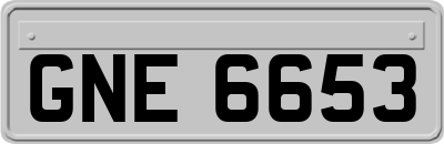 GNE6653