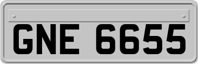 GNE6655